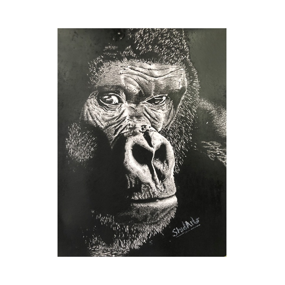 Gorilla