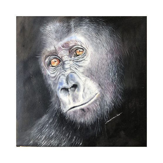 Gorilla