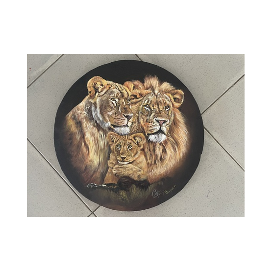 Lion couple wit young one