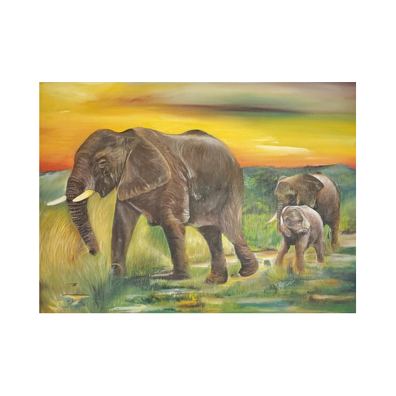 Elephants